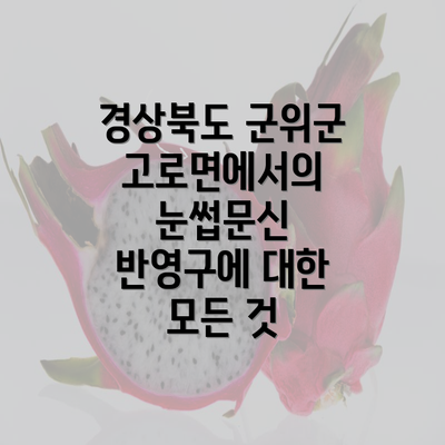 경상북도 군위군 고로면에서의 눈썹문신 반영구에 대한 모든 것