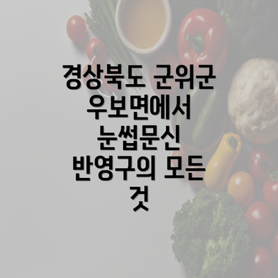 경상북도 군위군 우보면에서 눈썹문신 반영구의 모든 것