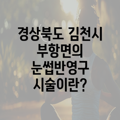 경상북도 김천시 부항면의 눈썹반영구 시술이란?