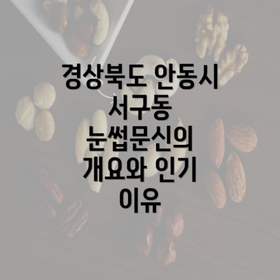 경상북도 안동시 서구동 눈썹문신의 개요와 인기 이유