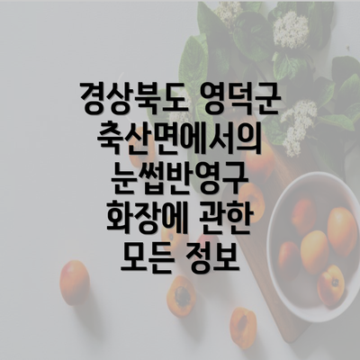 경상북도 영덕군 축산면에서의 눈썹반영구 화장에 관한 모든 정보