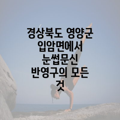 경상북도 영양군 입암면에서 눈썹문신 반영구의 모든 것