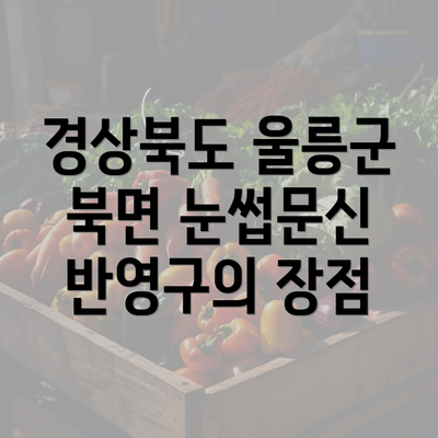 경상북도 울릉군 북면 눈썹문신 반영구의 장점