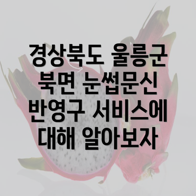 경상북도 울릉군 북면 눈썹문신 반영구 서비스에 대해 알아보자