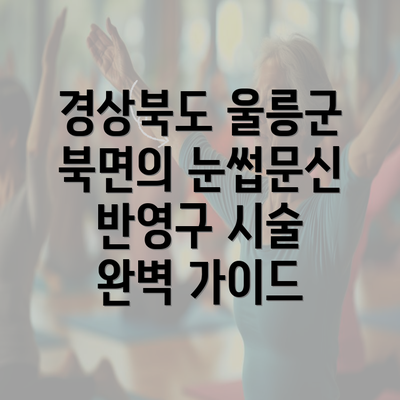 경상북도 울릉군 북면의 눈썹문신 반영구 시술 완벽 가이드