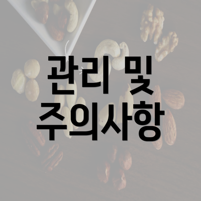 관리 및 주의사항