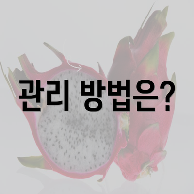 관리 방법은?