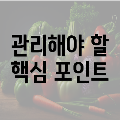 관리해야 할 핵심 포인트