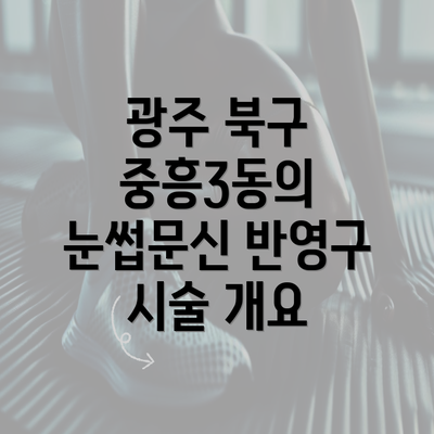 광주 북구 중흥3동의 눈썹문신 반영구 시술 개요