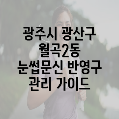 광주시 광산구 월곡2동 눈썹문신 반영구 관리 가이드