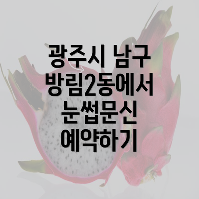 광주시 남구 방림2동에서 눈썹문신 예약하기