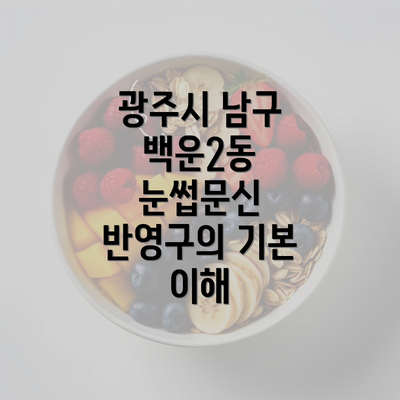 광주시 남구 백운2동 눈썹문신 반영구의 기본 이해