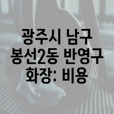 광주시 남구 봉선2동 반영구 화장: 비용