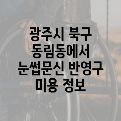 광주시 북구 동림동에서 눈썹문신 반영구 미용 정보