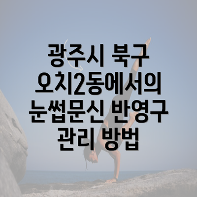 광주시 북구 오치2동에서의 눈썹문신 반영구 관리 방법