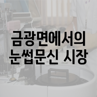 금광면에서의 눈썹문신 시장