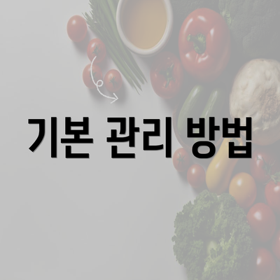 기본 관리 방법