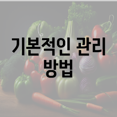 기본적인 관리 방법