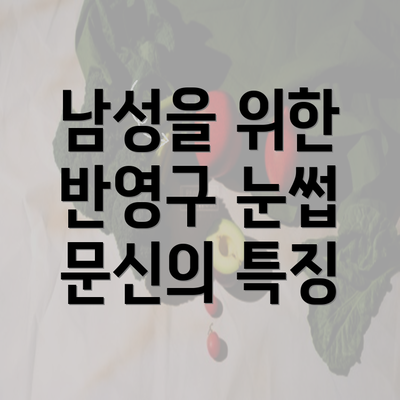 남성을 위한 반영구 눈썹 문신의 특징