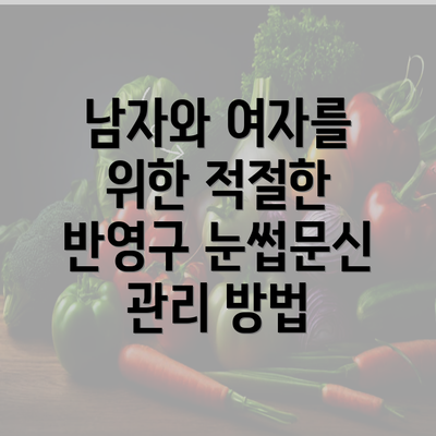 남자와 여자를 위한 적절한 반영구 눈썹문신 관리 방법