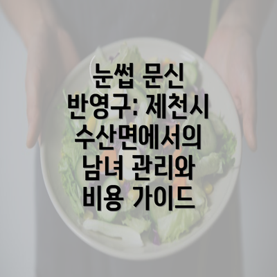 눈썹 문신 반영구: 제천시 수산면에서의 남녀 관리와 비용 가이드