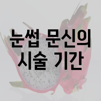 눈썹 문신의 시술 기간