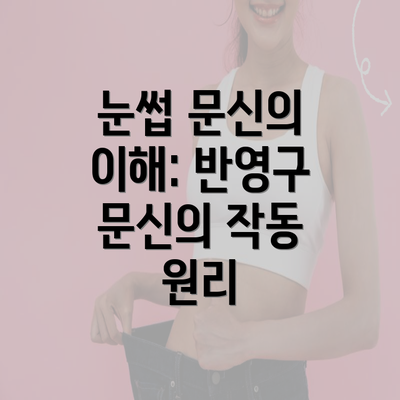 눈썹 문신의 이해: 반영구 문신의 작동 원리