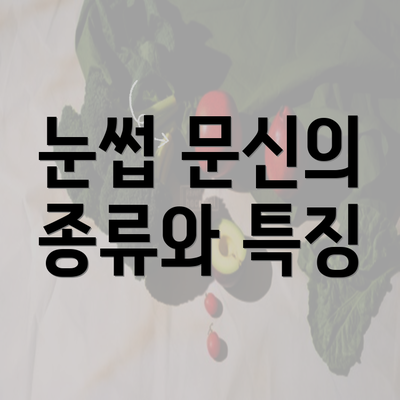 눈썹 문신의 종류와 특징