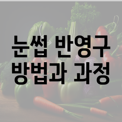 눈썹 반영구 방법과 과정