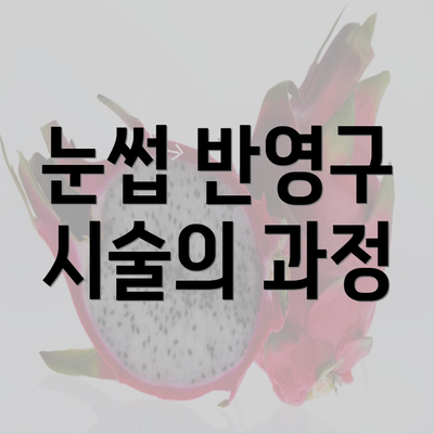 눈썹 반영구 시술의 과정