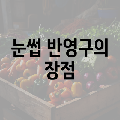 눈썹 반영구의 장점