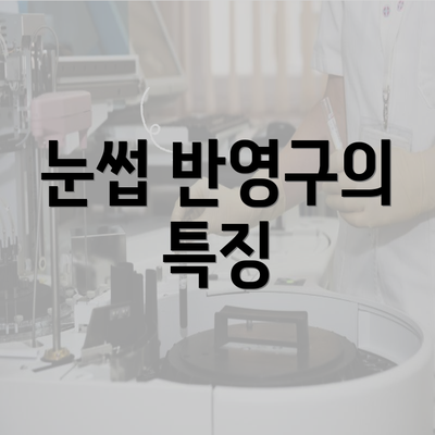 눈썹 반영구의 특징