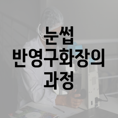 눈썹 반영구화장의 과정