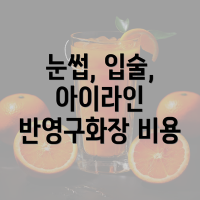 눈썹, 입술, 아이라인 반영구화장 비용