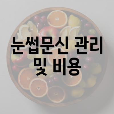 눈썹문신 관리 및 비용