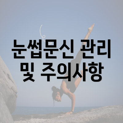 눈썹문신 관리 및 주의사항