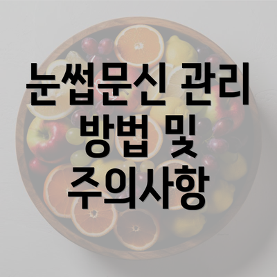 눈썹문신 관리 방법 및 주의사항