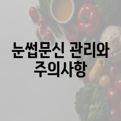 눈썹문신 관리와 주의사항