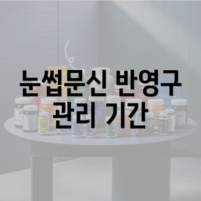 눈썹문신 반영구 관리 기간