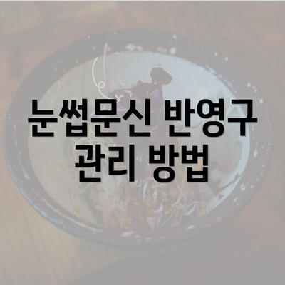 눈썹문신 반영구 관리 방법