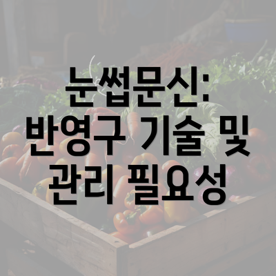 눈썹문신: 반영구 기술 및 관리 필요성