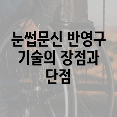 눈썹문신 반영구 기술의 장점과 단점