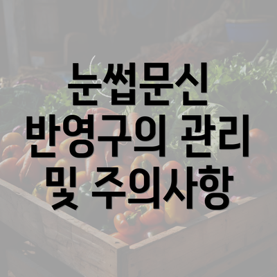 눈썹문신 반영구의 관리 및 주의사항