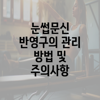 눈썹문신 반영구의 관리 방법 및 주의사항