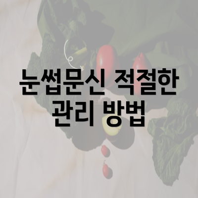 눈썹문신 적절한 관리 방법