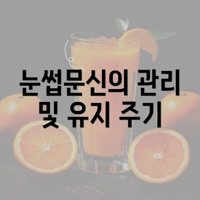 눈썹문신의 관리 및 유지 주기