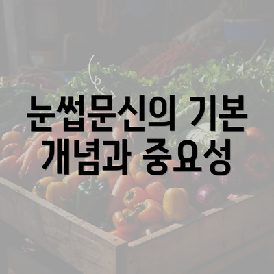 눈썹문신의 기본 개념과 중요성