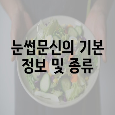 눈썹문신의 기본 정보 및 종류