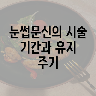 눈썹문신의 시술 기간과 유지 주기