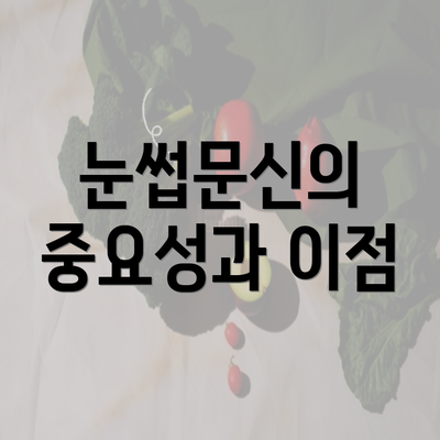 눈썹문신의 중요성과 이점